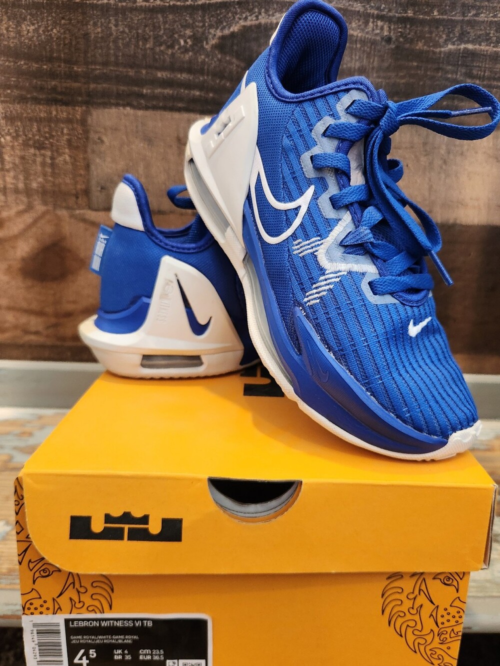 Nike Youth LeBron Witness 6 TB 'Game Royal'